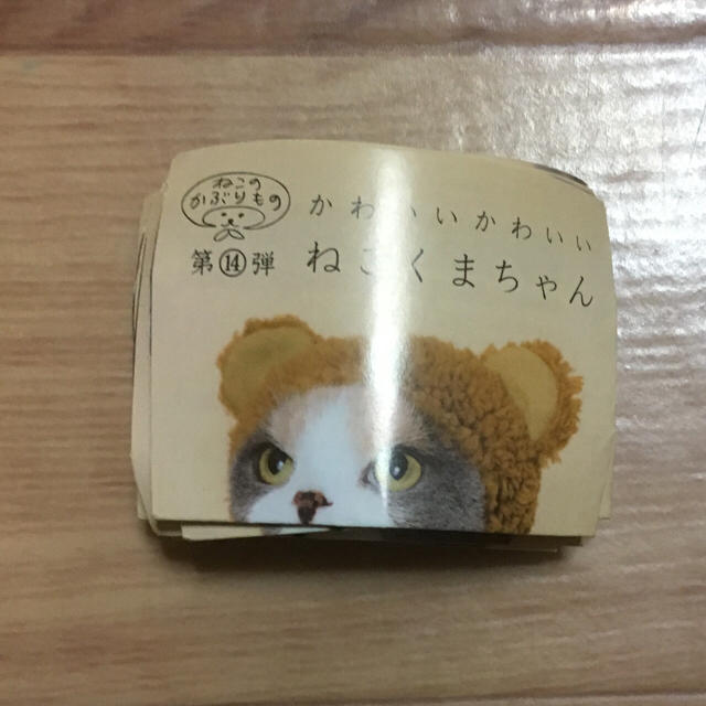 ねこくま 被り物セット その他のペット用品(猫)の商品写真