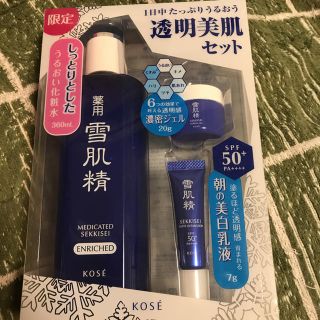 セッキセイ(雪肌精)のホクロ様専用ページ(化粧水/ローション)