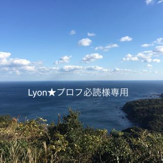 プチバトー(PETIT BATEAU)のLyon★プロフ必読様専用 パジャマ(パジャマ)