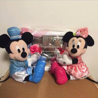 ディズニー(Disney)の【Miho様専用】〔値下しました〕ミッキー&ミニー ウェルカムドール ミラー付(ウェルカムボード)