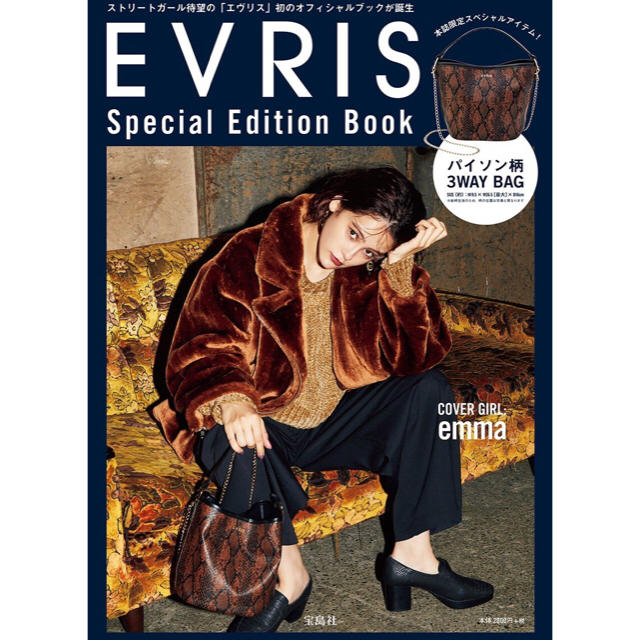 EVRIS(エヴリス)のEVRIS ムック本  レディースのバッグ(ショルダーバッグ)の商品写真