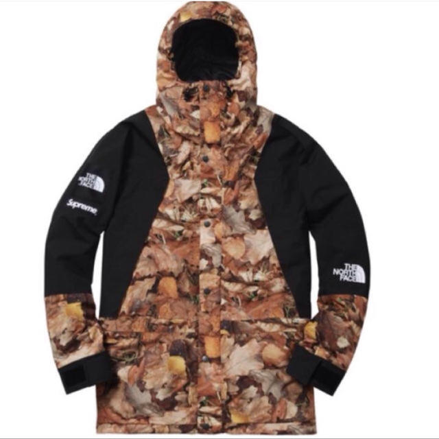 Supreme(シュプリーム)のsupreme north face 枯葉マウンパ M メンズのジャケット/アウター(マウンテンパーカー)の商品写真