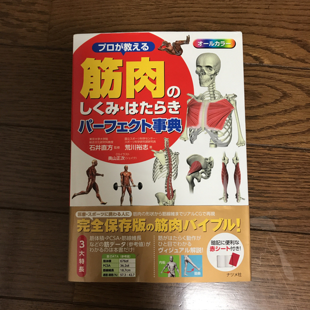 すぐわかる！すぐ使える！トリガーポイント治療法       筋肉のしくみ エンタメ/ホビーの本(健康/医学)の商品写真