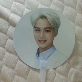 ネイチャーリパブリック(NATURE REPUBLIC)のEXO☆NATURE REPUBLIC(アイドルグッズ)