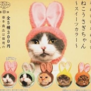 ☆ねこうさぎちゃん☆キャロット(オレンジ)　被り物(猫)