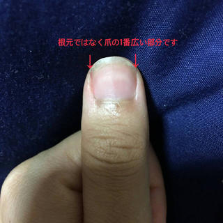 ニット ニットネイル ネイビー ウルトラマリン コスメ/美容のネイル(つけ爪/ネイルチップ)の商品写真