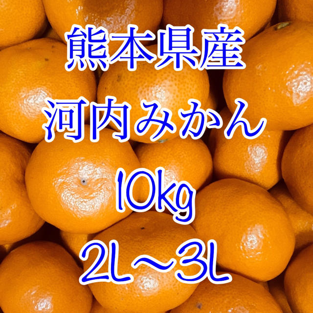 熊本県産 河内みかん 10kg   食品/飲料/酒の食品(フルーツ)の商品写真
