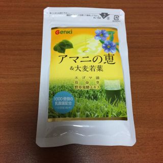 【新品】アマニの恵&大麦若葉(その他)