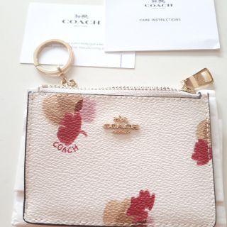 コーチ(COACH)のcoach　パスケース　コインケース(名刺入れ/定期入れ)