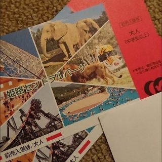 姫路セントラルパーク 2枚セット チケット 入場券(遊園地/テーマパーク)