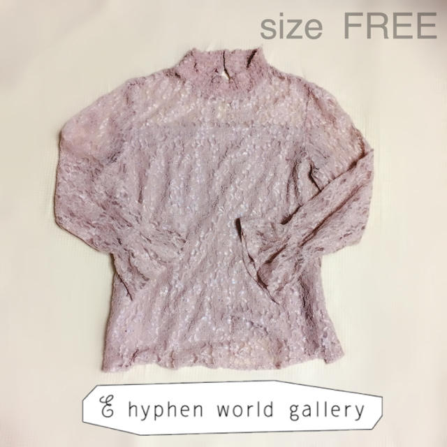 E hyphen world gallery(イーハイフンワールドギャラリー)のEhyphenworld  総レースシースルーハイネックカットソー サイズフリー レディースのトップス(カットソー(長袖/七分))の商品写真