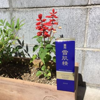 コーセー(KOSE)の【訳あり】コーセー 薬用 雪肌精 乳液 エクセレント １４０ｍＬ(乳液/ミルク)