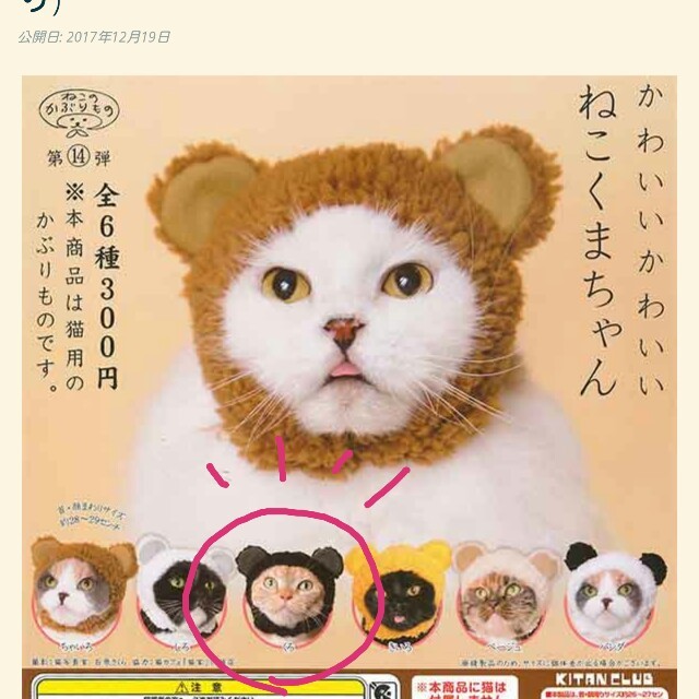 ねこのかぶりもの その他のペット用品(猫)の商品写真