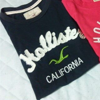 ホリスター(Hollister)のホリスターTシャツ ネイビー(Tシャツ(半袖/袖なし))