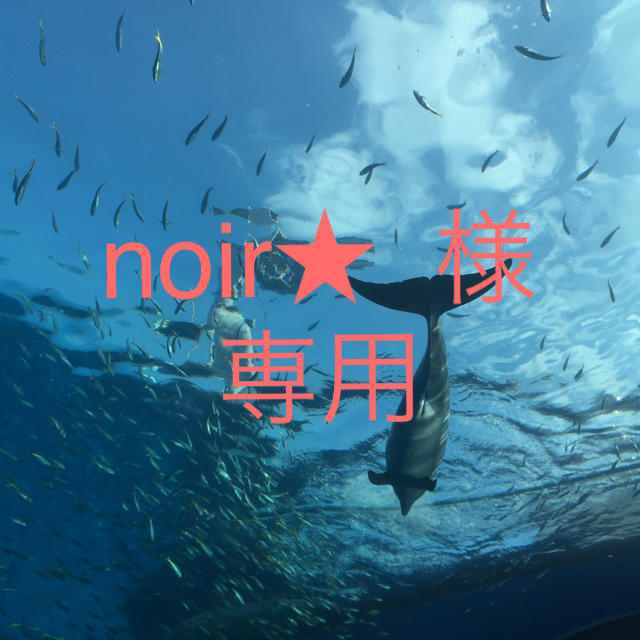 noir★  様専用 その他のその他(その他)の商品写真