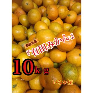 有田みかん訳あり品10ｋｇ(フルーツ)