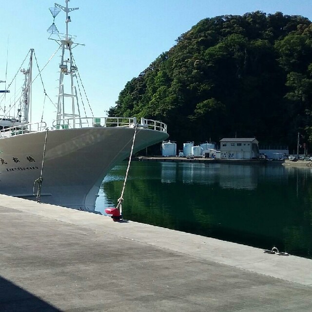 遠足は中戸さん専用 食品/飲料/酒の食品(魚介)の商品写真