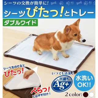 アイリスオーヤマ(アイリスオーヤマ)の1度のみ使用しました。アイリスオーヤマ★ペットトイレ(犬)