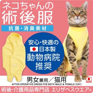 みやばず様専用☆ (猫)