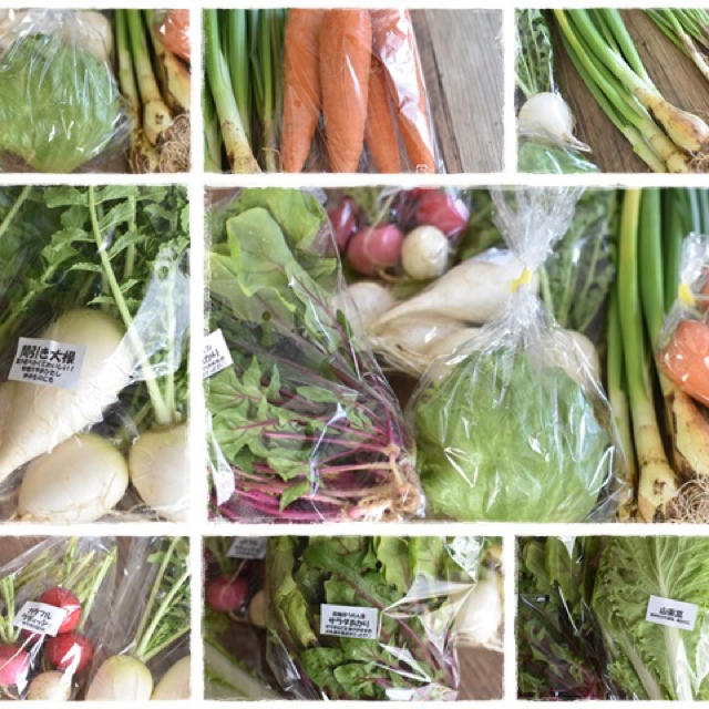 旬のおまかせ野菜8種類セット 食品/飲料/酒の食品(野菜)の商品写真