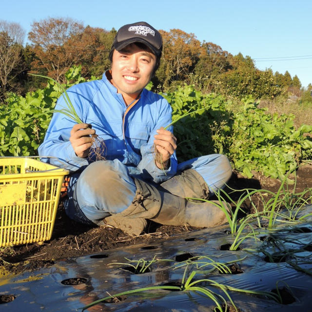 旬のおまかせ野菜8種類セット 食品/飲料/酒の食品(野菜)の商品写真