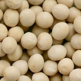 (みす様専用)　無農薬　平成29年滋賀県産　大粒大豆(オオツル)　1㎏(米/穀物)
