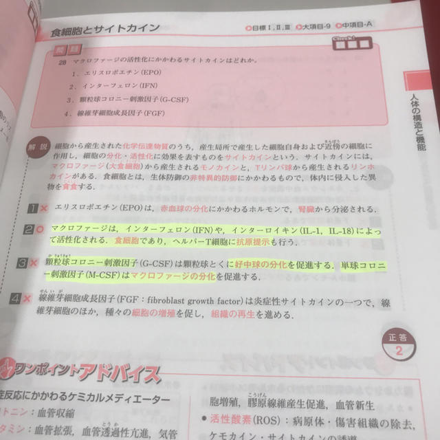 学研(ガッケン)の予想問題720 エンタメ/ホビーの本(語学/参考書)の商品写真