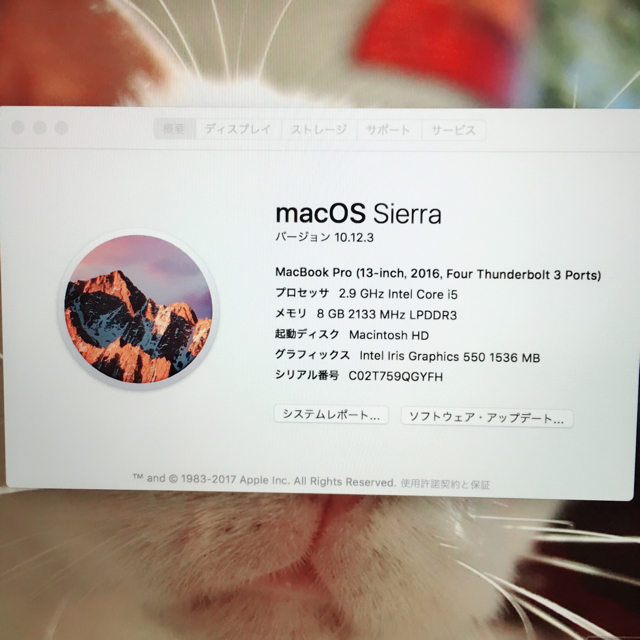 Mac (Apple)(マック)のMacBook pro 13インチTouch BarとTouch ID  スマホ/家電/カメラのPC/タブレット(ノートPC)の商品写真