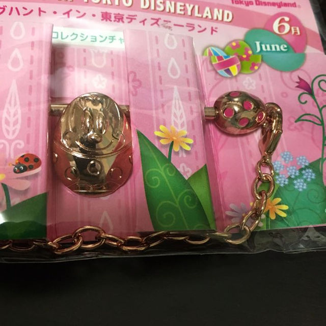 ディズニーランド☆イースター チャーム レディースのアクセサリー(チャーム)の商品写真