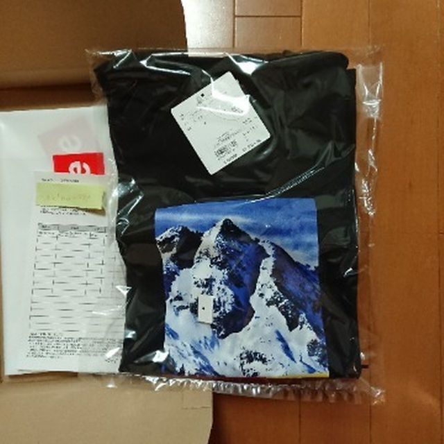 送料込　Supreme The North Face Mountain Tee