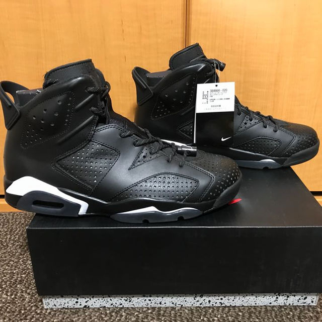 NIKE(ナイキ)のNIKE AIR JORDAN 6 RETRO メンズの靴/シューズ(スニーカー)の商品写真