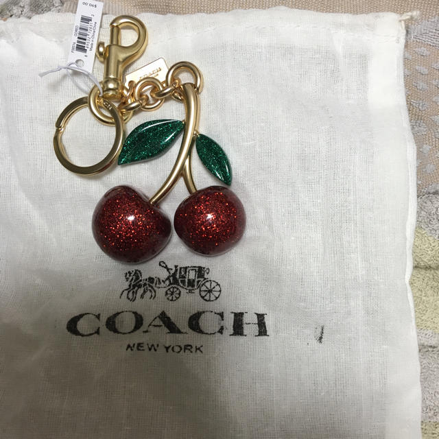 COACH(コーチ)のけみちゃん様専用です！月曜日まで ハンドメイドのファッション小物(バッグチャーム)の商品写真