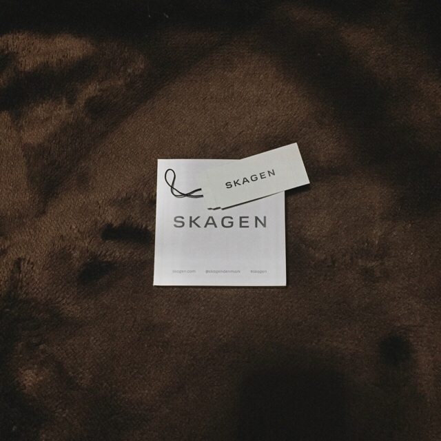 SKAGEN(スカーゲン)のSKAGEN アンカー skw 6361  メンズの時計(腕時計(アナログ))の商品写真