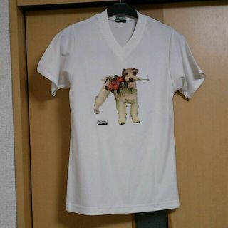 ポールスミス(Paul Smith)の★使用済★ポールスミスTシャツ(Tシャツ(半袖/袖なし))