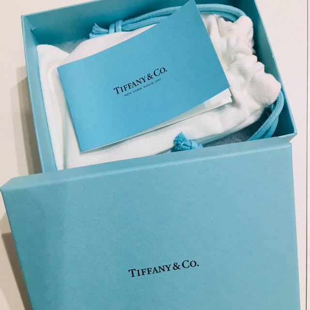 Tiffany & Co.(ティファニー)の【新品未使用】ティファニー パスケース レディースのファッション小物(名刺入れ/定期入れ)の商品写真