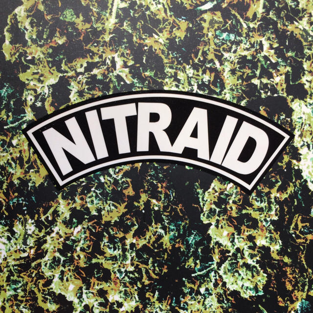 nitraid - NITRAID LOOK BOOK NITROW ナイトレイド NIKE SBの通販 by disk-110's shop
