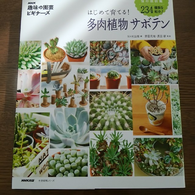 はなさん専用 多肉植物 サボテン 趣味の園芸 ビギナーズの通販 By 千葉の南 ラクマ はなさん専用 多肉植物 サボテン 趣味の園芸 ビギナーズの通販 By 千葉の南 ラクマ