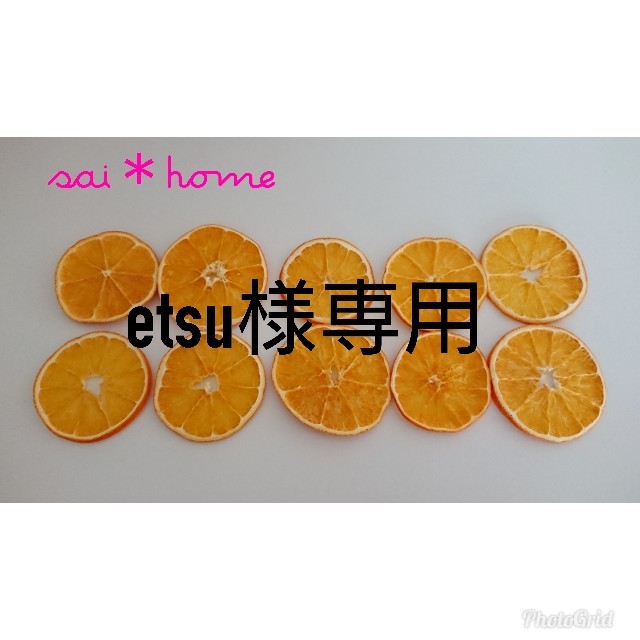 etsu様専用  ドライオレンジ10枚＊装飾用 ② ハンドメイドのフラワー/ガーデン(ドライフラワー)の商品写真