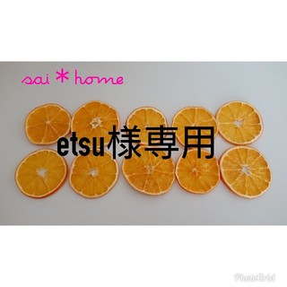 etsu様専用  ドライオレンジ10枚＊装飾用 ②(ドライフラワー)