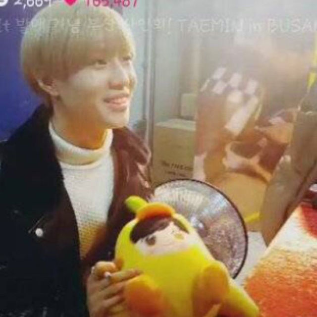 SHINee テミン ひよこぬいぐるみ