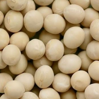 無農薬　平成29年滋賀県産　大粒大豆(オオツル)　1㎏(米/穀物)