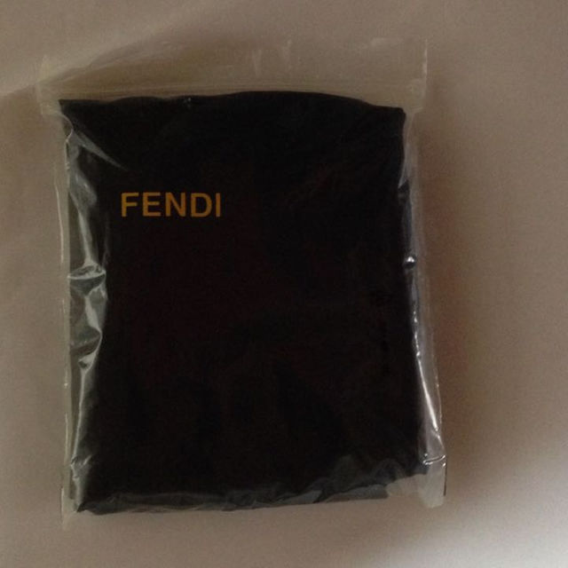 FENDI(フェンディ)のFENDI  保管袋  未使用品 レディースのバッグ(ショップ袋)の商品写真