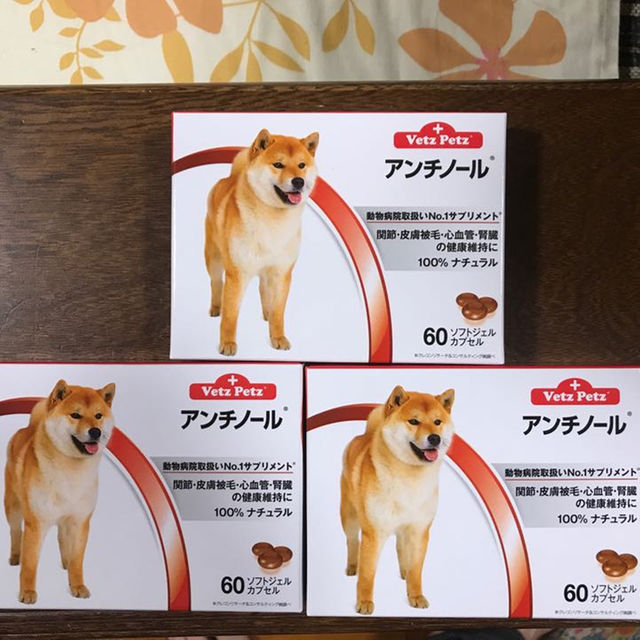 犬用アンチノール 60粒 3箱