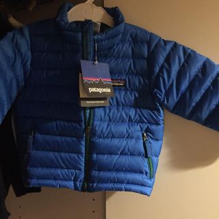 パタゴニア(patagonia)のパタゴニア ダックダウンセーター (ジャケット/上着)