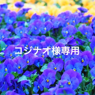 ビューティフルピープル(beautiful people)の☆コジナオ様専用☆(モッズコート)