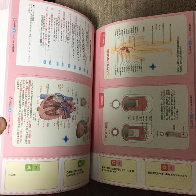 看護 参考書 エンタメ/ホビーの本(語学/参考書)の商品写真