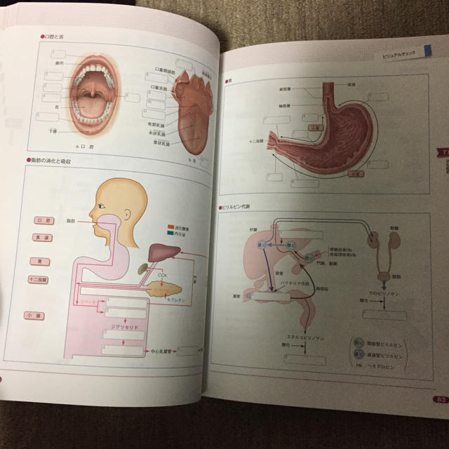 看護 参考書 エンタメ/ホビーの本(語学/参考書)の商品写真