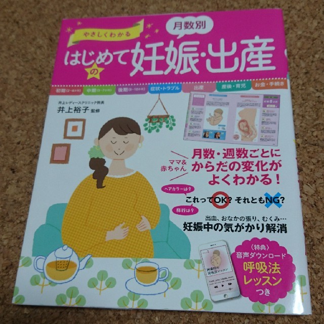 やさしくわかる 月数別 はじめての妊娠・出産

 エンタメ/ホビーの本(住まい/暮らし/子育て)の商品写真