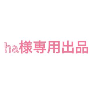 ha様専用出品(その他)