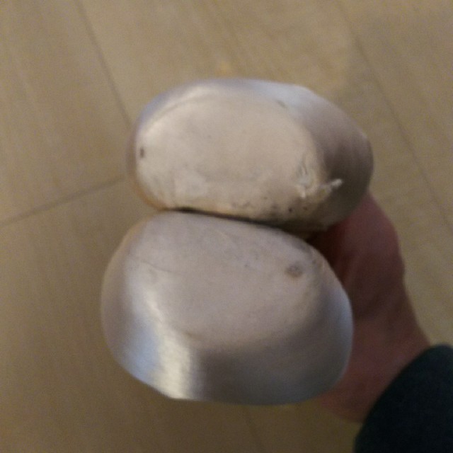ブロック バランスヨーロピアン 5 1/2 X 1度使用 ポワント トゥ ブロック バランスヨーロピアン 5 1/2 X 1度使用 ポワント トゥ